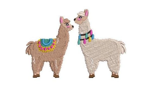 Alpacas