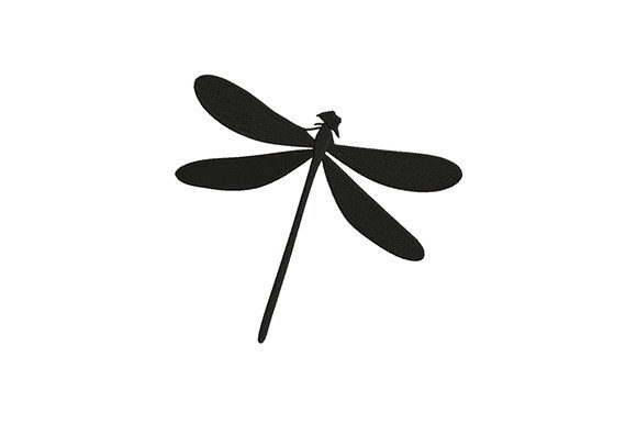 Black Dragonfly