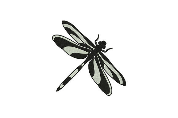 Colore Black Dragonfly